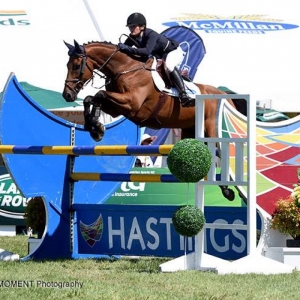 Former Racehorse Comes Good to Take Opening World Cup Round