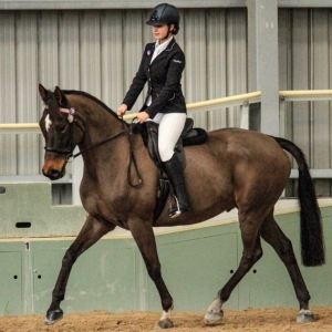 And The Winner of The ispyhorses Birthday Competition is