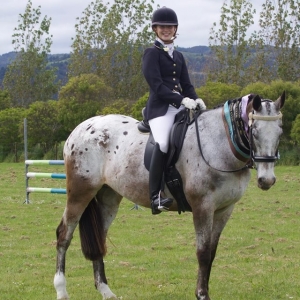 PheebzEquine