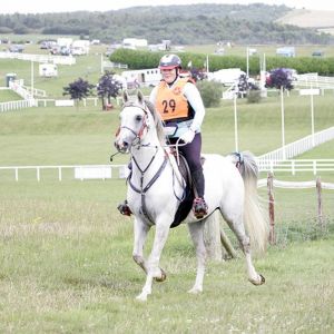 Silver Zenif Available for Service