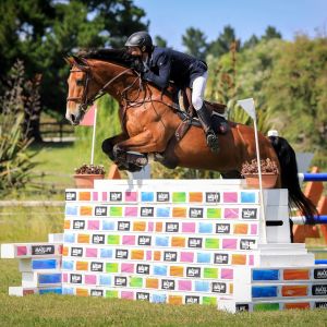 Horse for sale: Top Show Jumper/Eventer