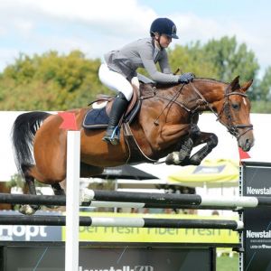 Horse for sale: Top SJ mare,   "Double J Image"  - Young Rider/Junior/Pro am etc